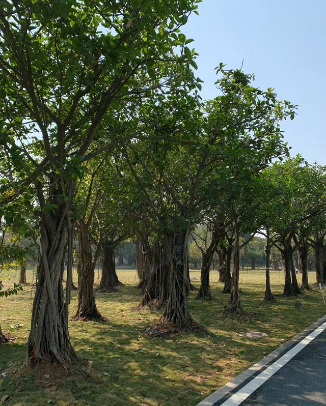 揭陽西湖，人間仙境般的寶藏之地