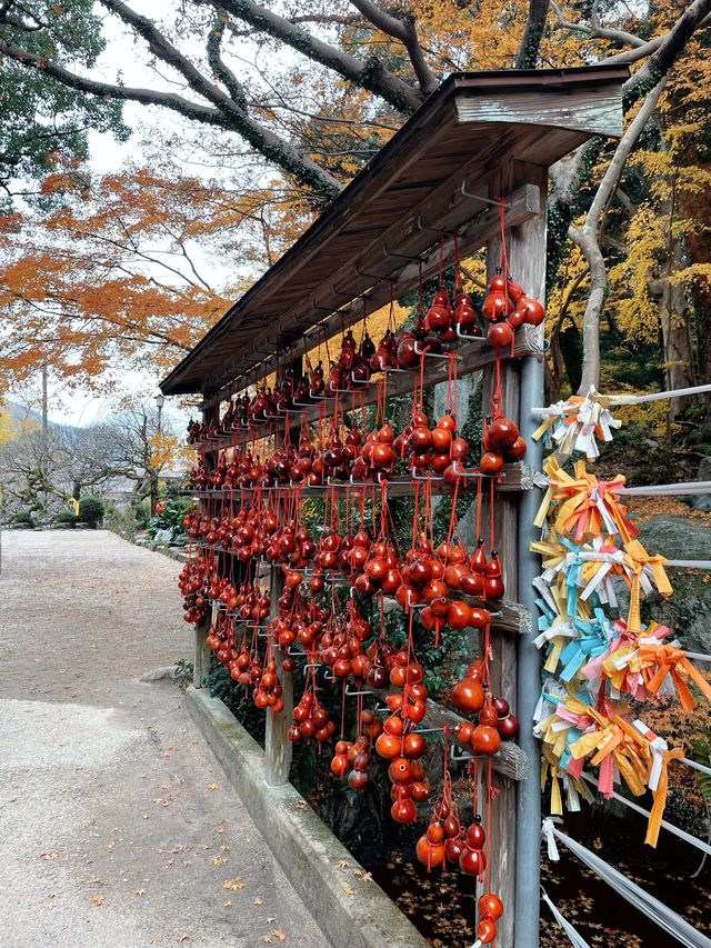 5日深度遊日本 溫泉之旅不踩雷