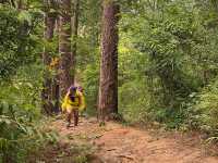 ชมธรรมชาติกับอุทยานแห่งชาติดอยขุนตาล⛰️🪵