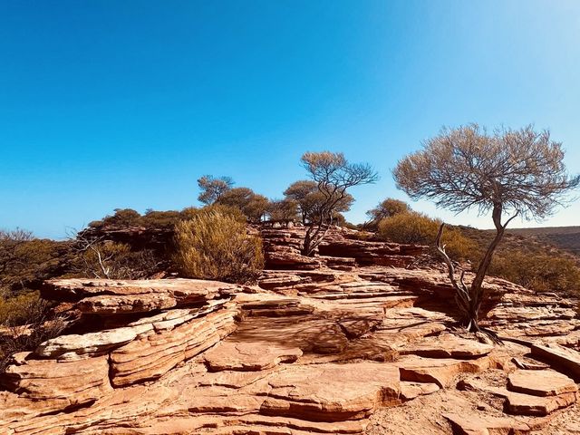 Kalbarri Natures Window! I see the world!😎🫣