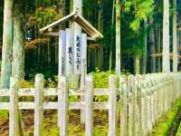 Mount Koya emerges as a sacred sanctuary 🇯🇵