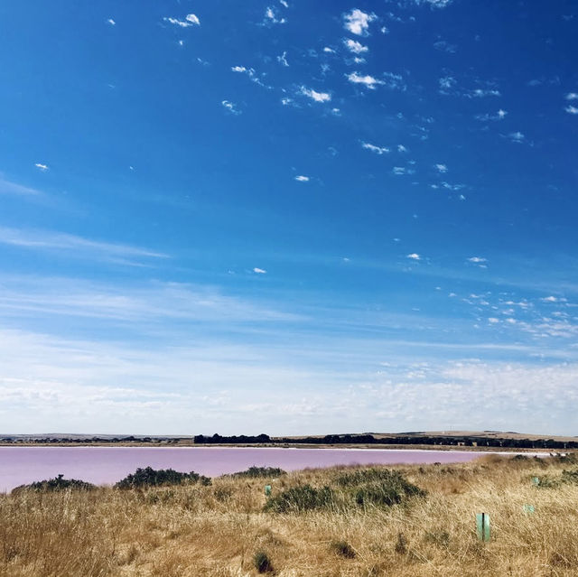 "Lake Hillier: Australia’s Stunning Pink Lake"