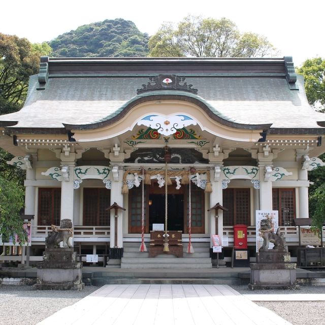 佐賀景點｜據說有神明居住的3000年大楠樹—佐賀武雄神社