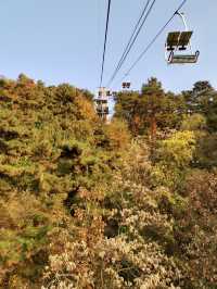 Discovering the Mutianyu Great Wall with a Local Guide: A Journey Through Time and Scenic Beauty