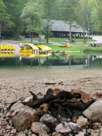 Embracing Serenity: Immersed in Nature at Lake Bohinj