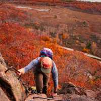 Acadia National Park: A Coastal Gem of Natural Beauty