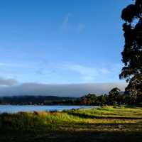 Tasmania: Australia’s Island of Wild Beauty and Unique Adventures