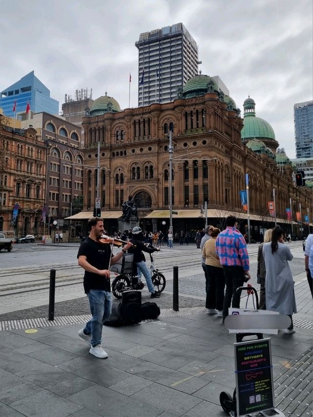 호주 시드니 타운홀을 따라 걷는 거리🇦🇺