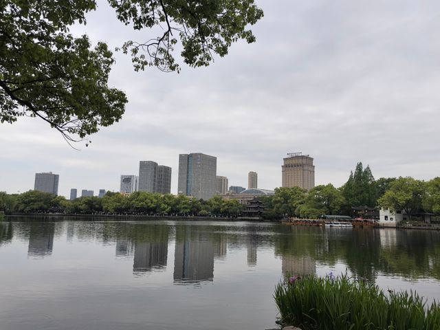 被譽為寧波“小西湖”的月湖公園