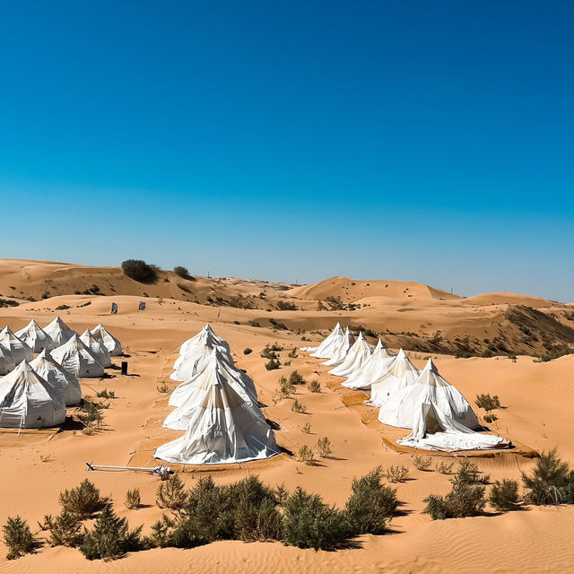 A Unique Desert Experience in Inner Mongolia