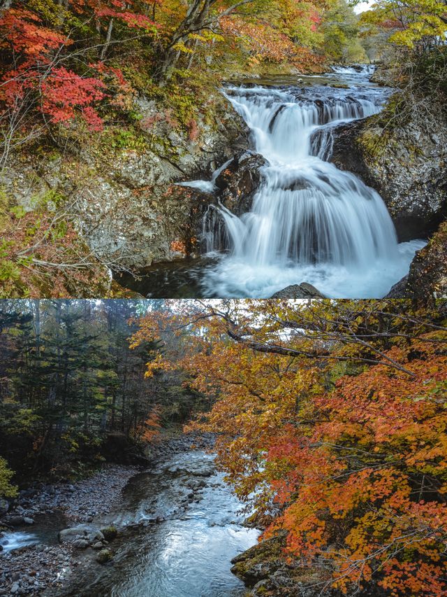 相比於人山人海的京都，我還是更喜歡札幌的秋天。