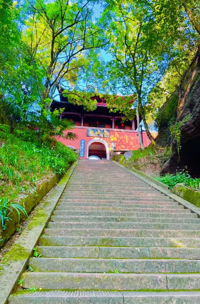 安徽齊雲山|不現齊山雲 但見徽州春。