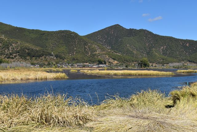 瀘沽湖裡的草海