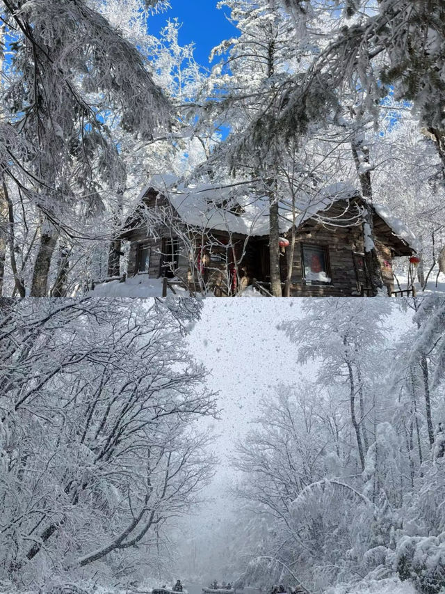 猜猜這是哪！不是挪威是中國雪鄉！像童話故事一樣太美麗啊