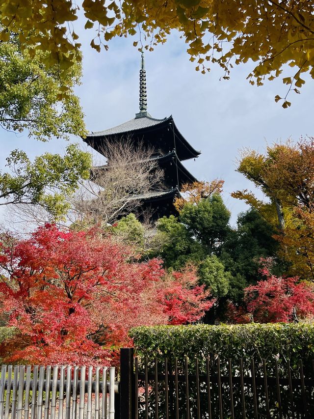 日本·京都