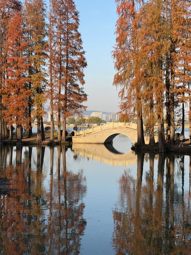 無錫一日遊