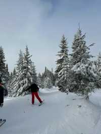 Traveling from the UK to Norway's Hafjell Ski Resort is Incredibly Convenient