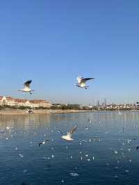 元旦青島3日遊 一定要來體驗