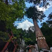 日本京都-享受深山古剎的悠閑寧靜：鞍馬寺