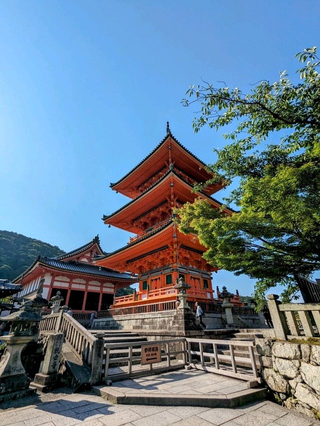 日本京都-來到京都必定造訪的人氣景點：清水寺