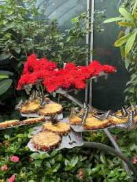 🇸🇬Do you know there’s a butterfly garden in Changi Airport?