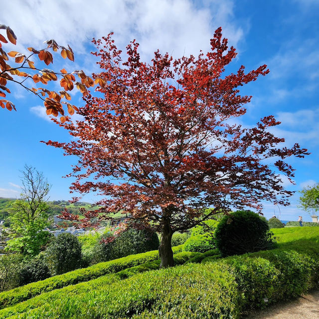 Marvel at the Majestic Cliffs and Surreal Gardens of Étretat - Where Nature Meets Art.