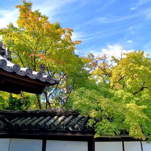 【京都】2024年秋厳選！京都紅葉スポット 南禅寺