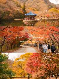 Enchanting Autumn at Naejangsan National Park