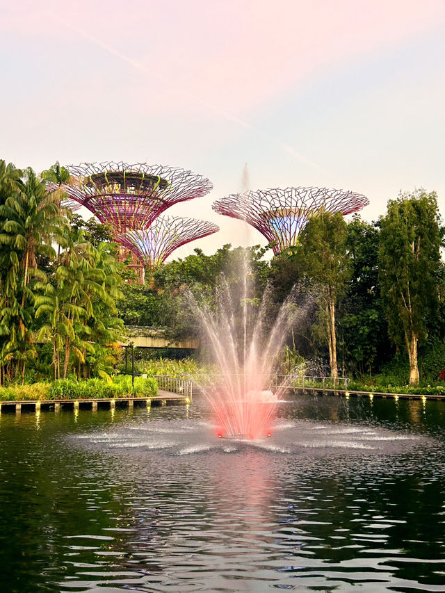 Discover the Beauty of Gardens by the Bay