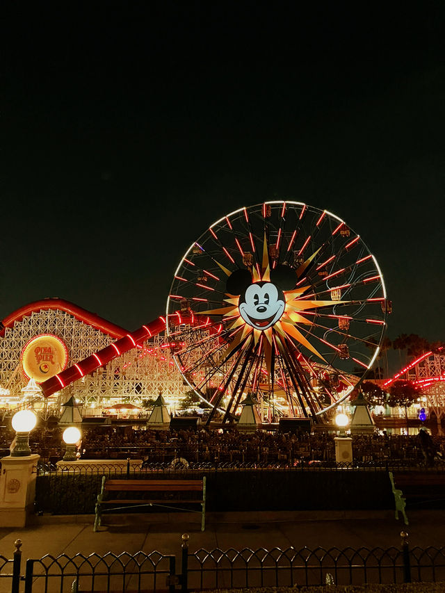 元祖ディズニー、カリフォルニアディズニーリゾート🐭🪄