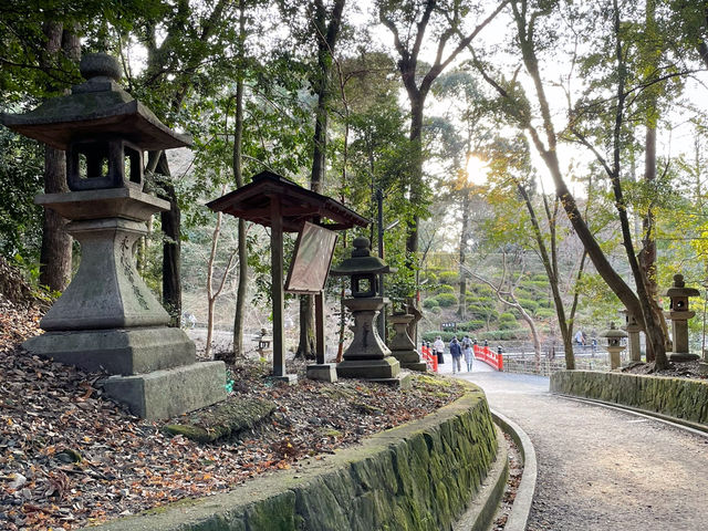 Pathways to Purity: Exploring the Timeless Trails of Fushimi Inari