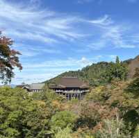 🍁 Kiyomizu-dera Temple: Kyoto’s Autumn Gem 🍁