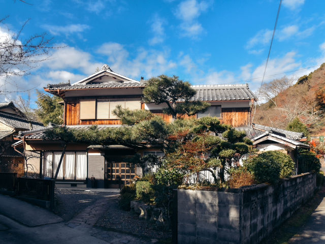 龜岡市 郊遊好去處