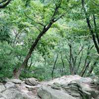 Conquering Bukhansan: A Hiker’s Paradise Above Seoul!