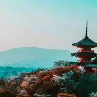 Kyoto Travel is Truly Worth It!❗❗3 Days and 2 Nights Itinerary