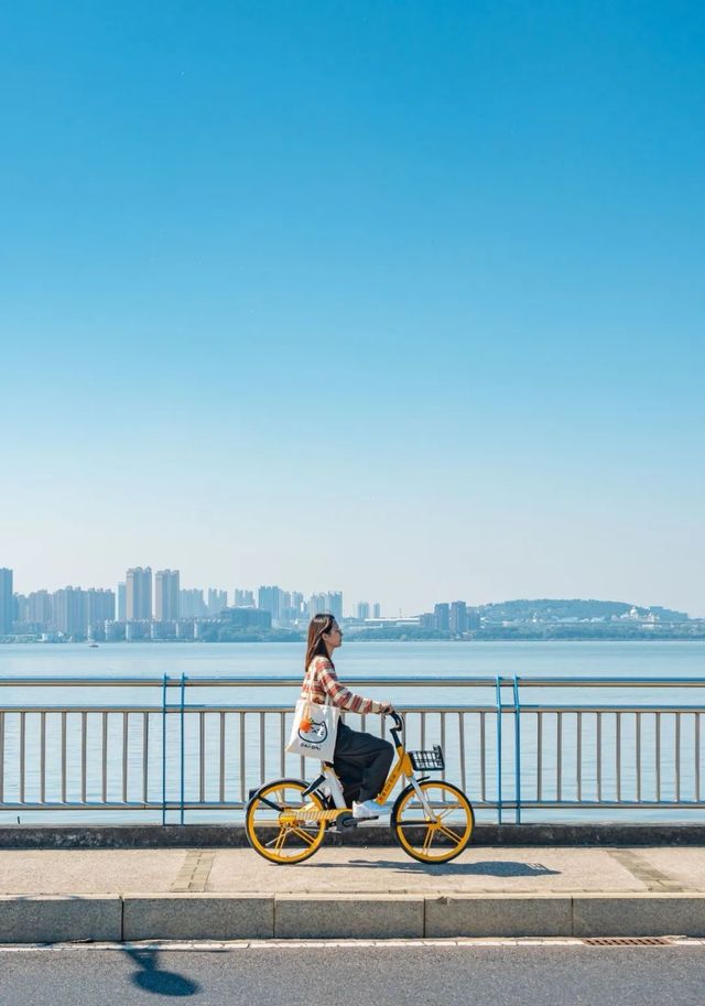 眼前一亮：「海上」自行車道