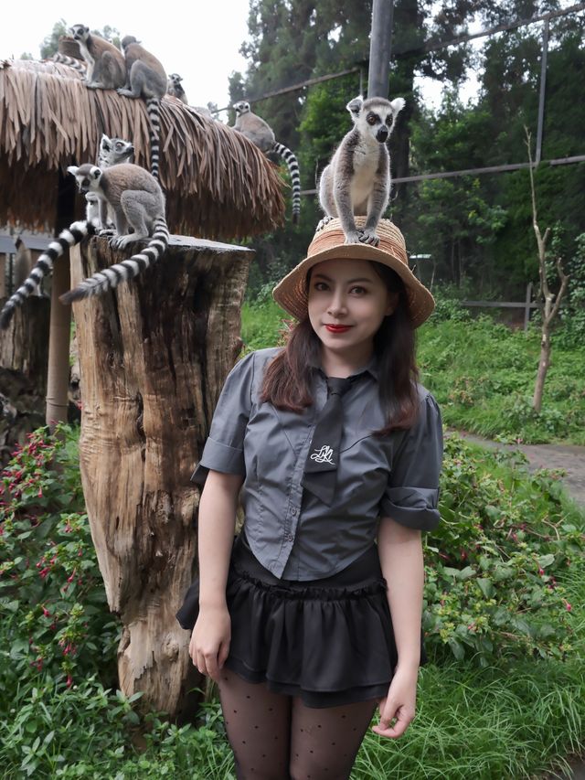 在雲南野生動物園拍到人生照片，真的不是非洲