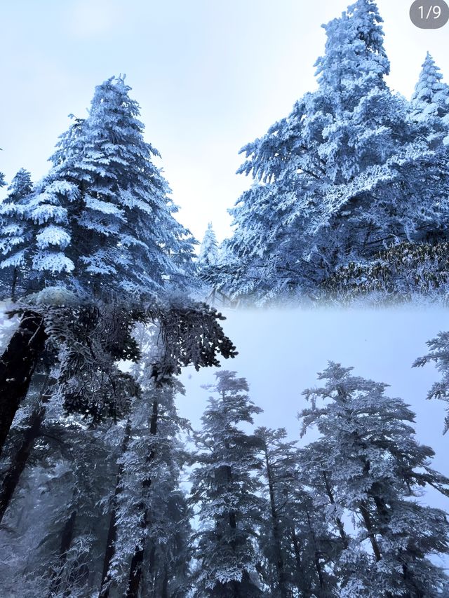 成都周邊，西嶺雪山冬日探險。