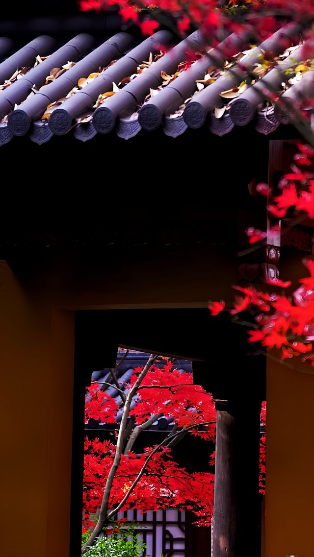 除了靈隱寺，竟然還有隱藏得這麼深的寶藏寺廟