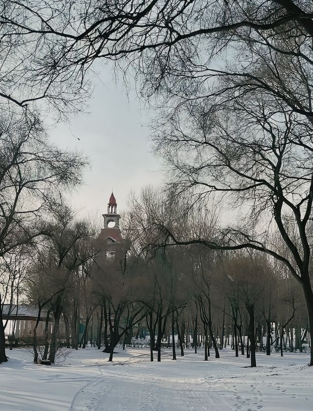 別再錯過—太陽島，一個被忽略的冰雪夢境