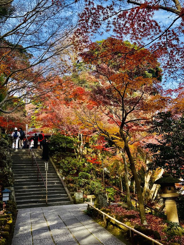 日本·神奈川鎌倉