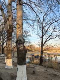 【冬日暖陽】朝陽公園，冬日裡的城市綠洲