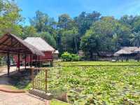 Sabah State Museum