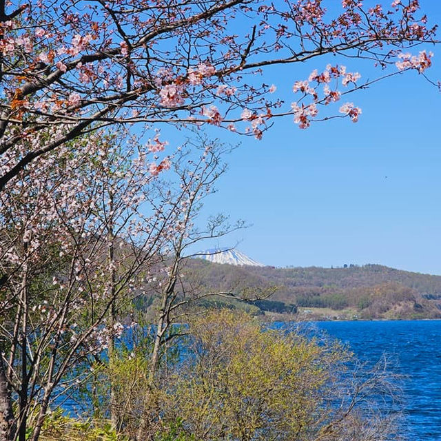 Unveiling Hokkaido's Spring Splendor