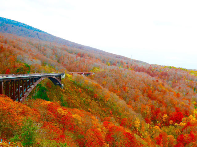 【青森】絶景！紅葉も青森へ