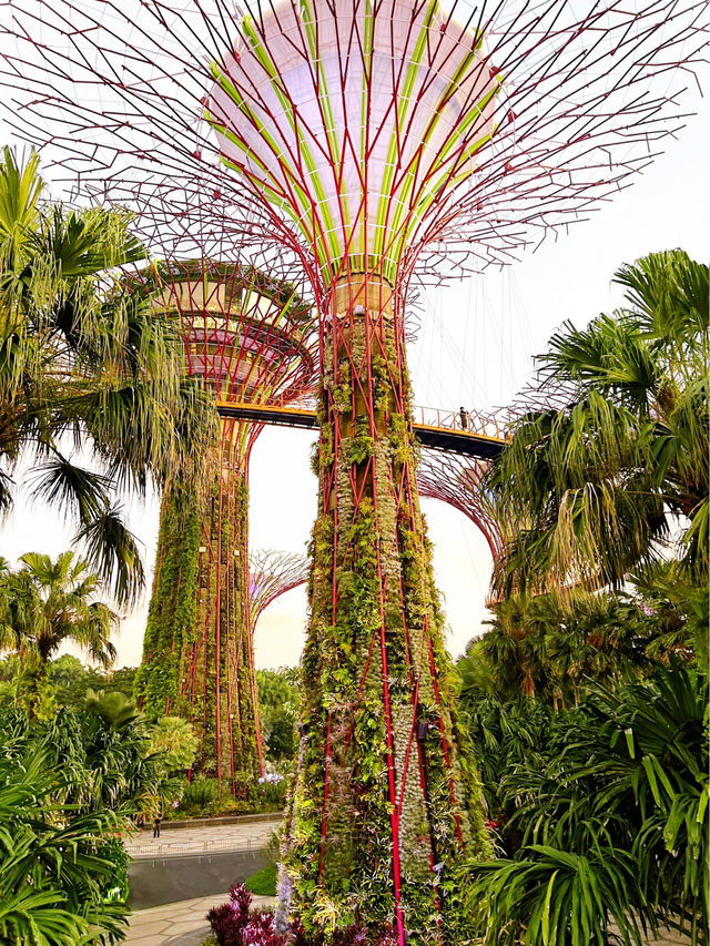 Discover the Beauty of Gardens by the Bay