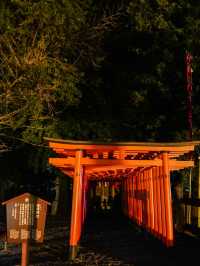 【熊本｜水前寺成趣園夜間活動】 