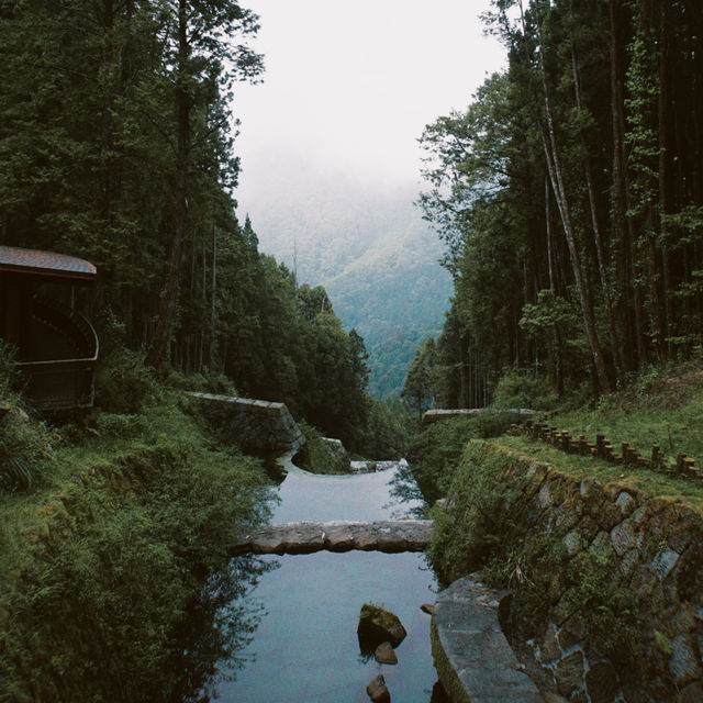 Alishan National Forest Recreation Area