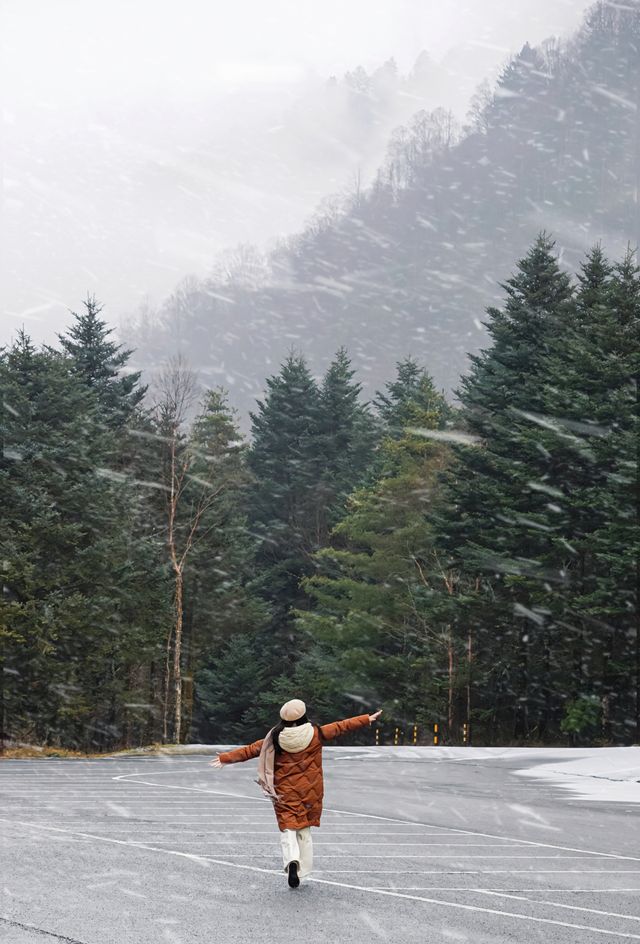 湖北人有自己的雪國冬遊神農架2天1夜攻略