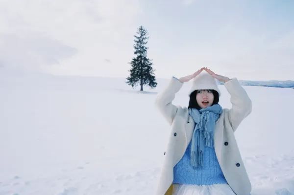 尋找美瑛孤獨的聖誕樹自由行攻略🎄